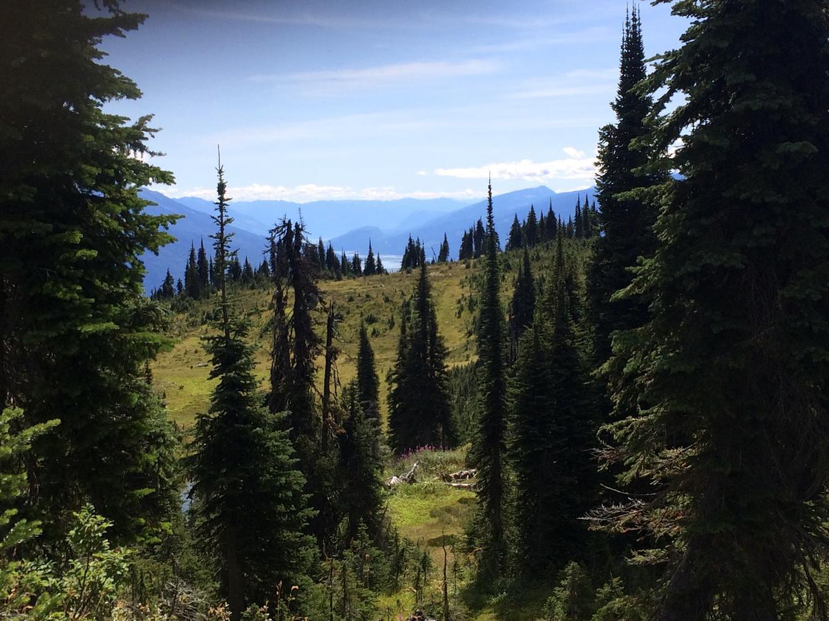 Alpenrose Revelstoke Bed & Breakfast Екстериор снимка