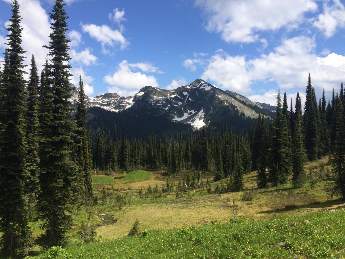 Alpenrose Revelstoke Bed & Breakfast Екстериор снимка